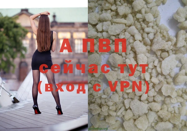 спайс Вяземский