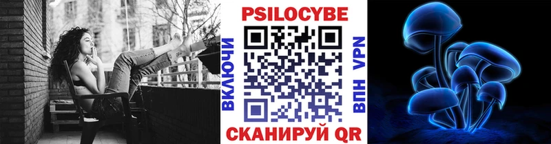 Псилоцибиновые грибы Cubensis Заринск